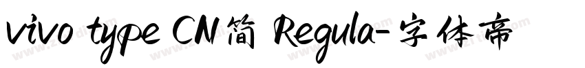 vivo type CN简 Regula字体转换